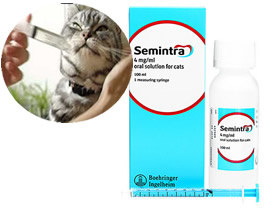 猫にセミントラを与える、腎不全用　
